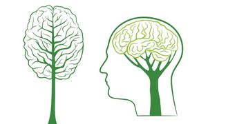 A new social science offers ways of taking our deep-set psychological history into account when trying to communicate or encourage ecologically responsible behaviour.  Picture: THINKSTOCK