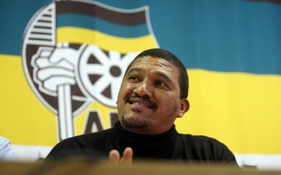RADICAL: Commentators say ANC provincial leader Marius Fransman may prove to be the DA’s ‘secret weapon’ in the elections. Picture: THE TIMES