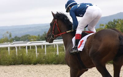 Jockey and horse. Picture: THINKSTOCK