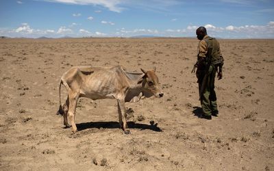 Climate change is only one of the challenges facing Africa as the sub-Saharan Africa region pursues growth which the International Monetary Fund expects to be 5.7% between 2014-19. File picture: REUTERS/SIEGFRIED MODOLA