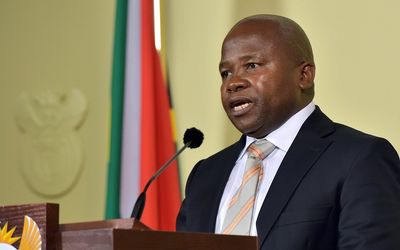 Minister Des van Rooyen. Picture: SUPPLIED