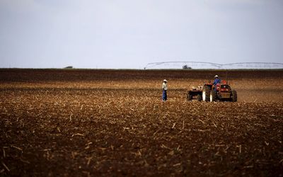 Farmers work on a field outside Lichtenburg, a maize-growing area in the North West. The Food and Agricultural Organisation is predicting El Nino will continue to affect food prices this year. Picture: REUTERS/SIPHIWE SIBEKO