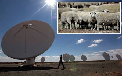 BLOCK: The KAT-7 telescope, a precursor to the much larger MeerKAT Karoo telescope and SKA, which has run into opposition over its plan to acquire land, used for sheep farming (Inset). Pictures: SUNDAY TIMES