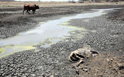 Drought. Picture: SUNDAY TIMES