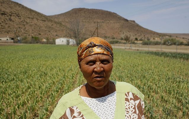 Garlic farmer Molly Nikelo walks through her fields in Nieu-Bethesda in the Eastern Cape. Data from the province show that land-reform projects are more likely to succeed where a strong sense of ownership and cohesion exists in the beneficiary group. Picture: REUTERS