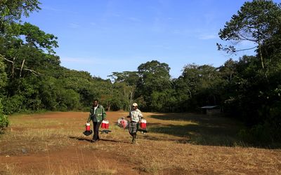 Researchers from the Uganda Virus Research Institute carry insect traps at the Zika Forest in Entebbe, south of Uganda's capital Kampala. Picture: REUTERS
