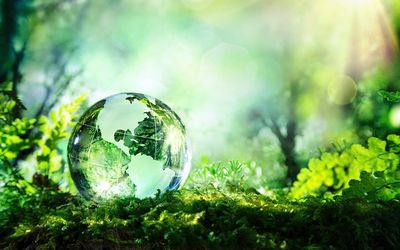 As we progress on this journey to sustainability, we will democratise energy and live on the free and inexhaustible resources of nature, says the writer. Picture: ISTOCK