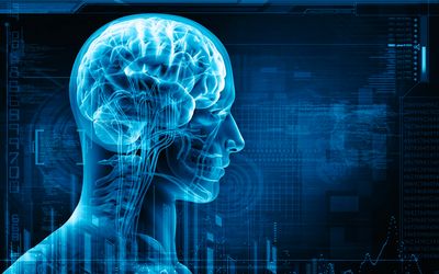 A technique to make brains transparent, a breakthrough should give researchers an accurate picture of the pathways underlying both normal mental function and neurological illnesses from autism to Alzheimer’s. Picture: THINKSTOCK 