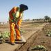 A worker on the Department of Co-operative Governance and Traditional Affairs’ Community Work Programme. Picture: SOWETAN