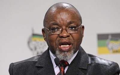 Gwede Mantashe. Picture: RUSSELL ROBERTS