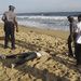 Ivorian policemen and medical personel look at the bodies of people killed on the beach infront of the Etoile du Sud hotel in Grand Bassam, Ivory Coast 13 March 2016. Picture: EPA/LEGNAN KOULA