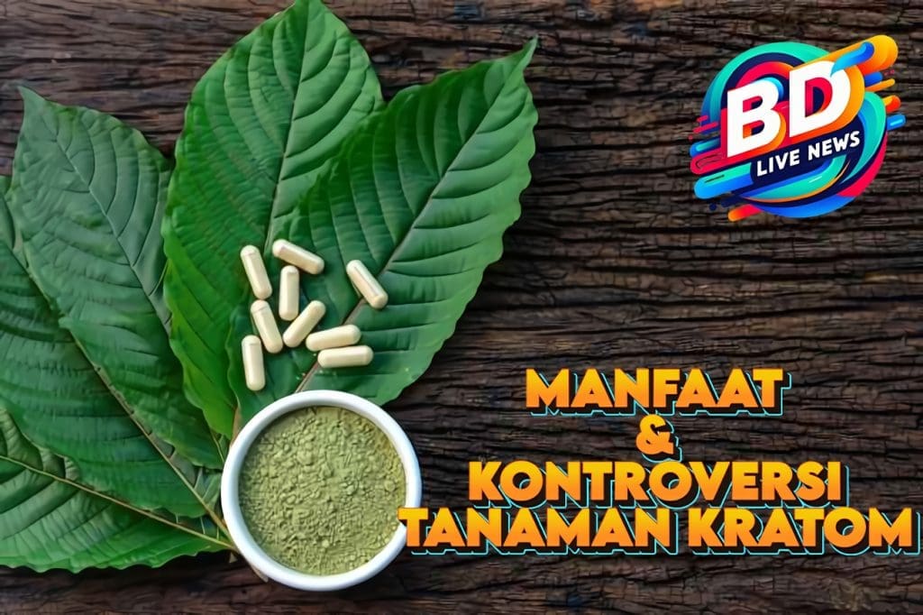 Tanaman Kratom: Antara Manfaat dan Kontroversi