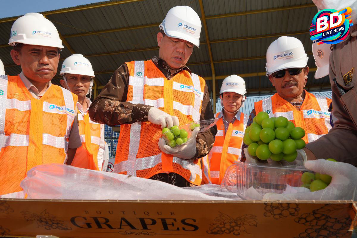 BPOM Indonesia Pastikan Anggur Shine Muscat Aman untuk Dikonsumsi
