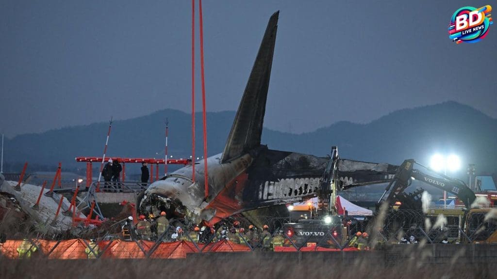Jeju Air Alami Insiden, Tabrakan Burung Mungkin Penyebabnya