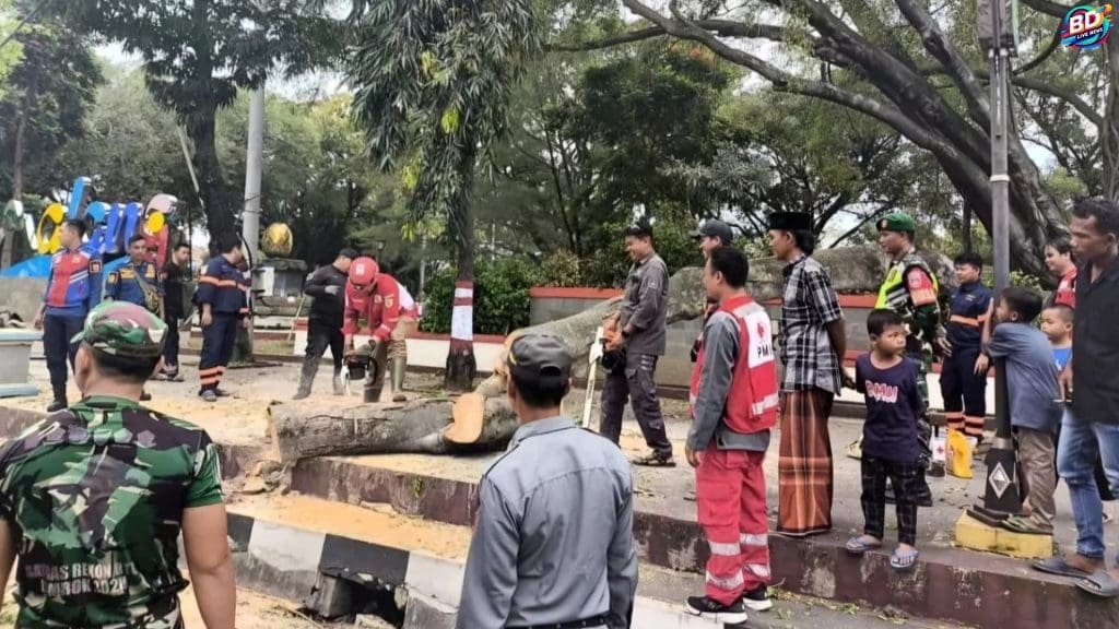 Pohon Tumbang Saat Salat Id: 3 Wafat, Kemensos Cari Keluarga