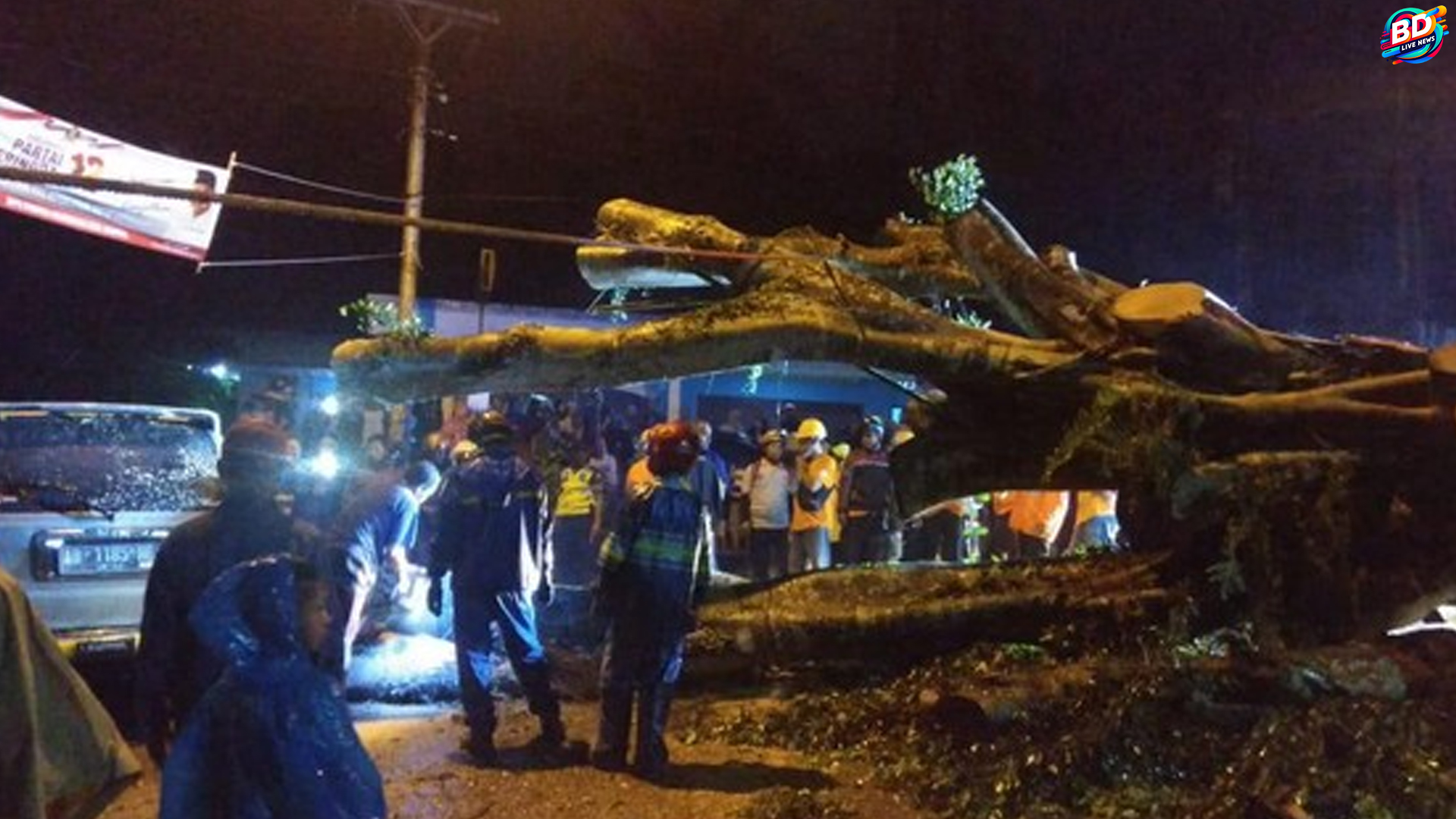 Pohon Tumbang di Kukar, 3 Terluka, 1 Langsung Meninggal