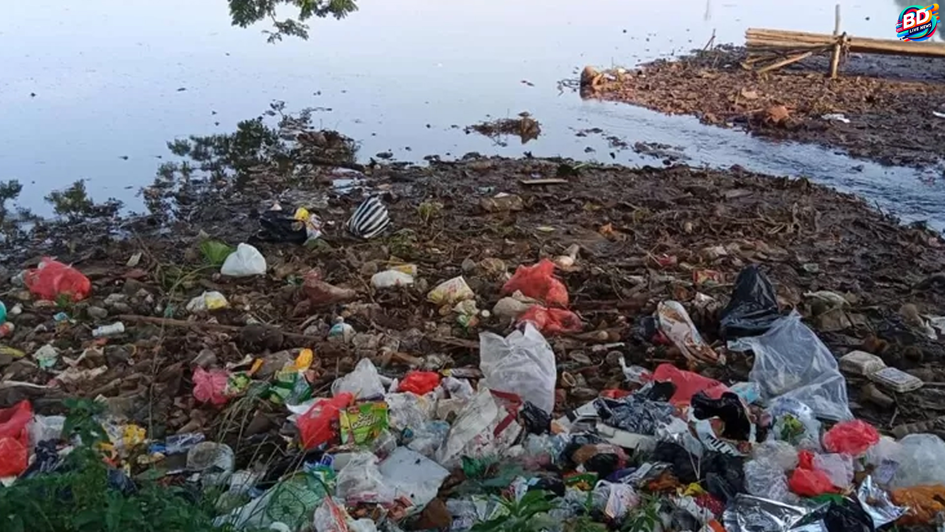 Situ Cilodong: 5 Upaya Pemerintah Mengatasi Sampah Menupuk