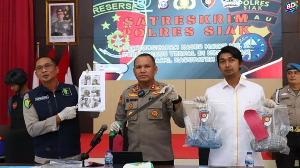 10 Detik Fatal: Kasus Pria Riau Bunuh Kawan Usai Pesta Tuak