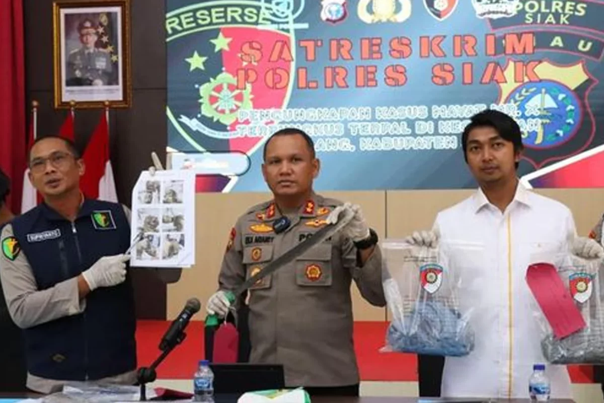 10 Detik Fatal: Kasus Pria Riau Bunuh Kawan Usai Pesta Tuak