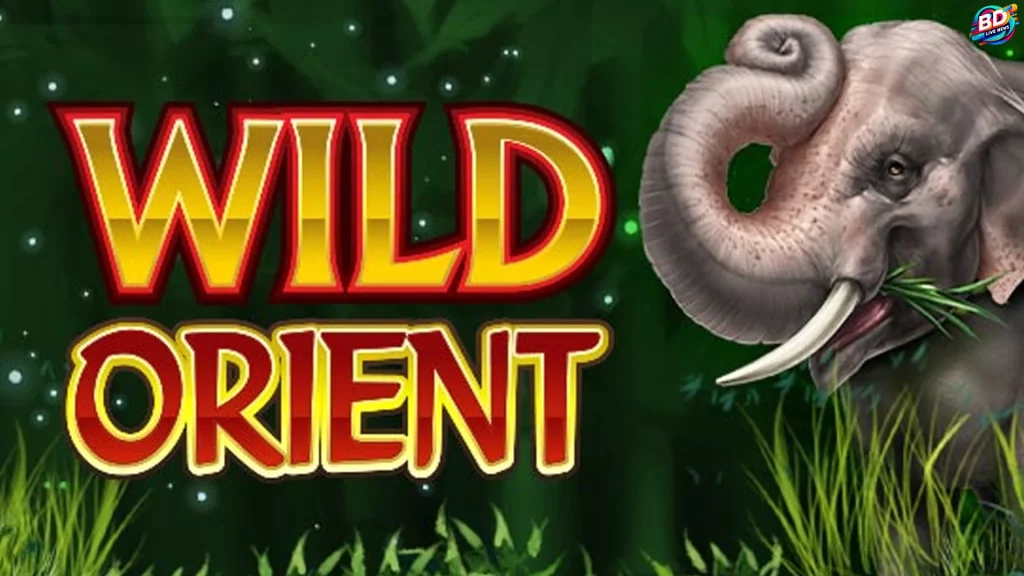 Daya Tarik Wild Orient 5 Bagian yang Bikin Kamu Auto Nagih Parah