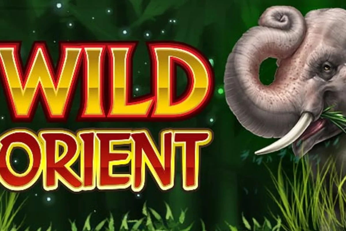 Daya Tarik Wild Orient 5 Bagian yang Bikin Kamu Auto Nagih Parah