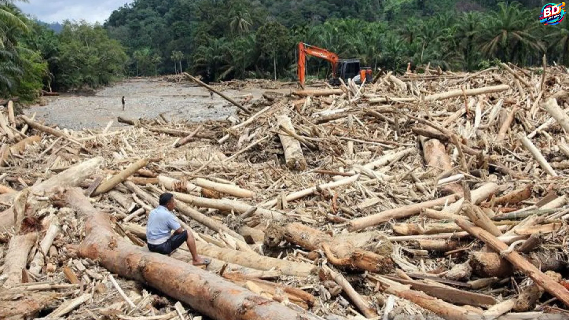 Dugaan Illegal Logging Jadi 4 Palang Jalur Banjir Bandang Sumatera