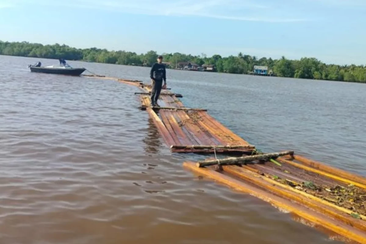 Polres Meranti Amankan 10 Ton Kayu, 5 Fakta Penting Kasus Illegal Logging