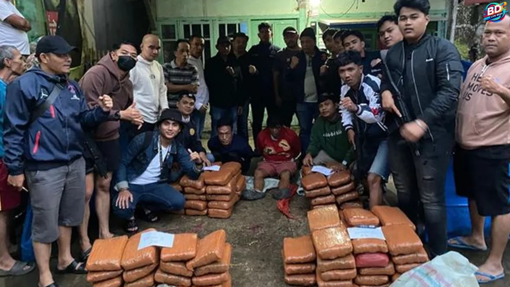 BNN Sumbar Berhasil Bongkar 100 Paket Ganja, 3 Orang Terlibat di Agam