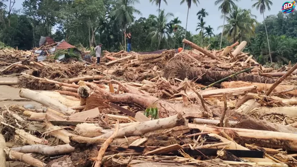 Dugaan Illegal Logging Jadi 4 Palang Jalur Banjir Bandang Sumatera