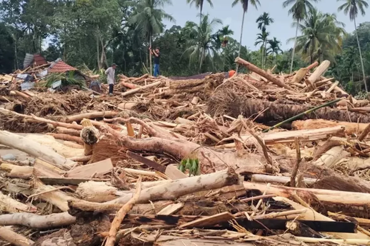Dugaan Illegal Logging Jadi 4 Palang Jalur Banjir Bandang Sumatera
