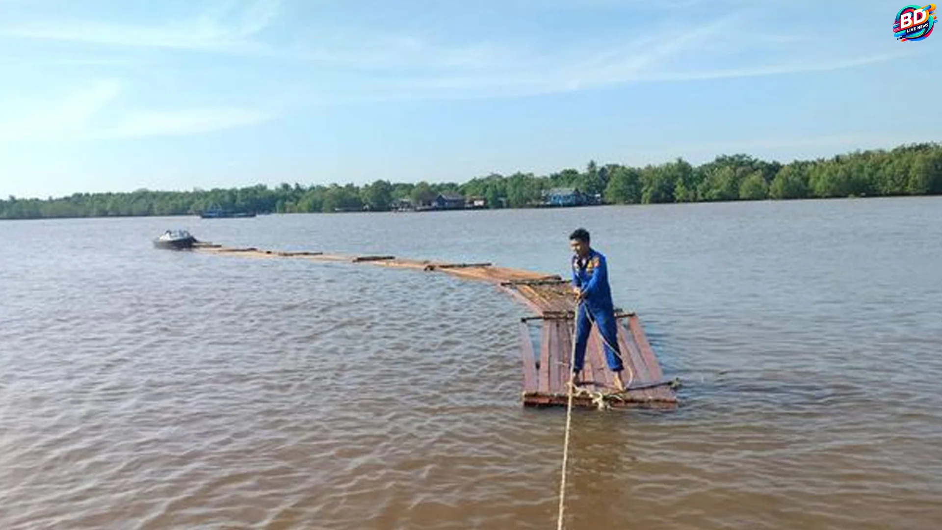 Polres Meranti Amankan 10 Ton Kayu, 5 Fakta Penting Kasus Illegal Logging