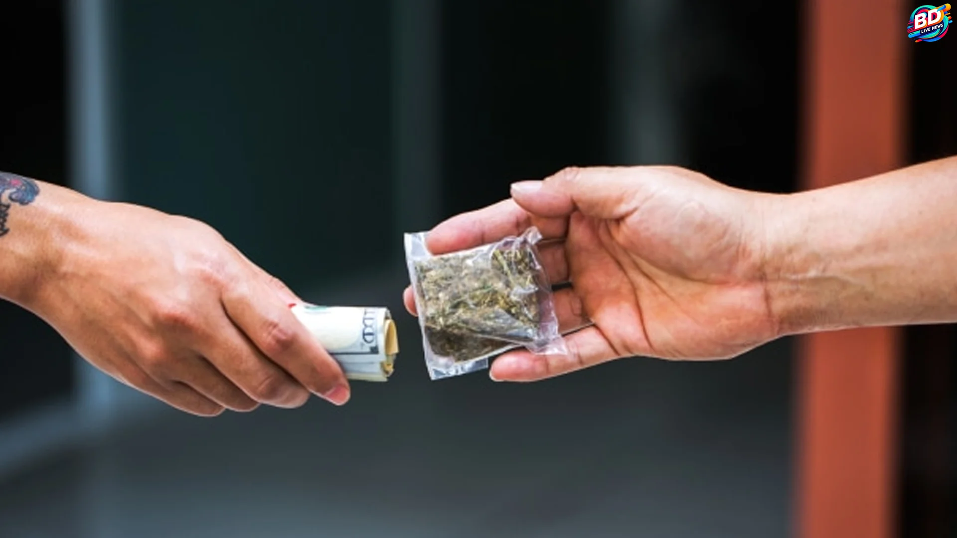 Jakut Polisi Tangkap 4 Kurir Ganja Via Instagram Bandar Masih Buron