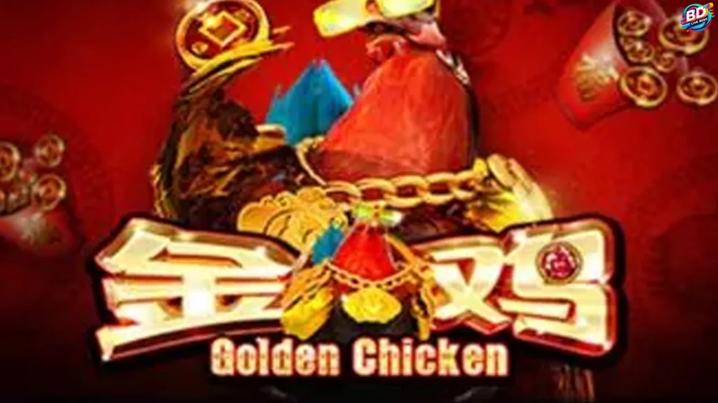 Bongkar Habis Formula Golden Chicken Versi 2 Baru