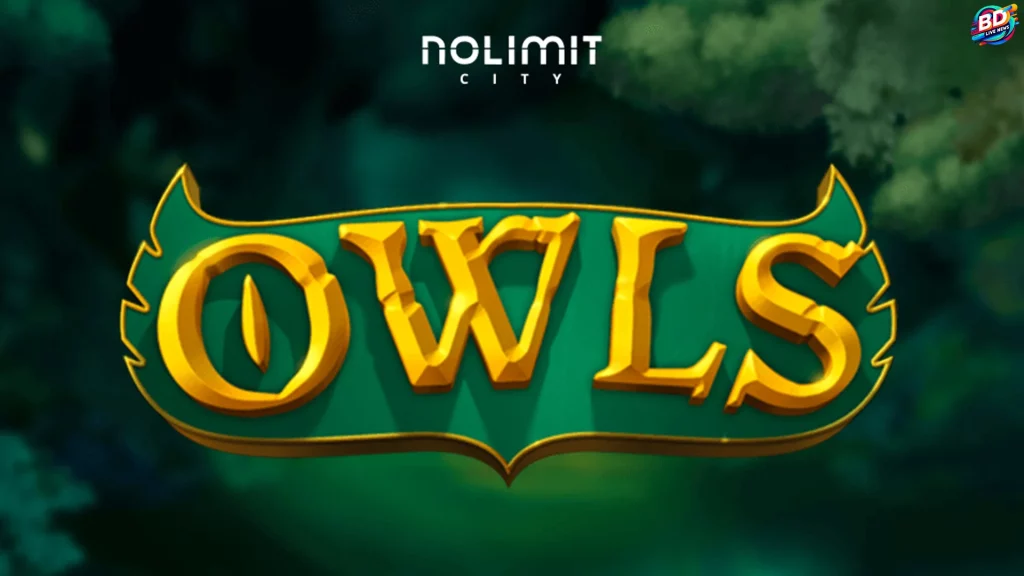 Hal Penting di Owls dan 5 Kesalahan yang Sering Terjadi