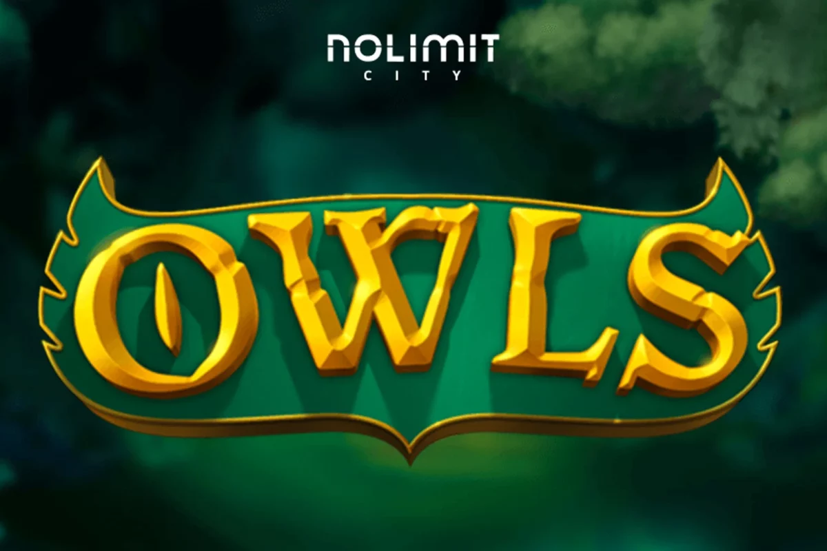 Hal Penting di Owls dan 5 Kesalahan yang Sering Terjadi